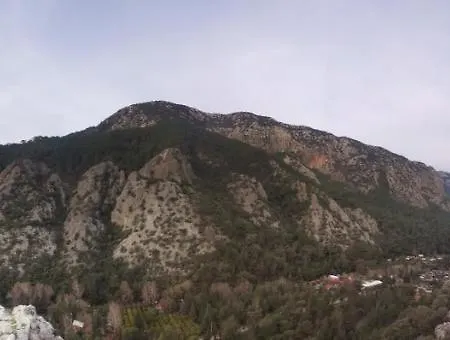 Проживание в семье Village Garden Анталья