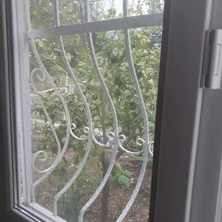 Проживание в семье Village Garden Анталья