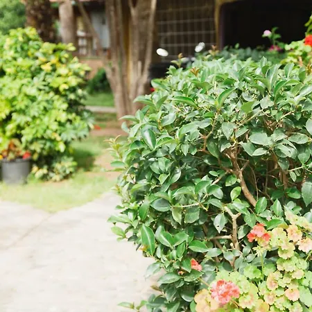 Village Garden Проживание в семье *